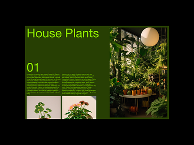 0002-HOUSEPLANTS design green grid landing page layout minimal minimalist plants typography ui ux web web design