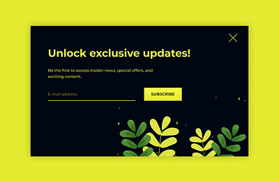 Newsletter Sign Up Modal modal newsletter uiux website