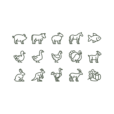 Animals branding figma illustration ui vector