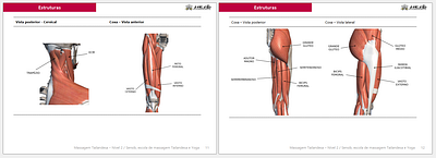 Thai massage digital manual graphic design illustration pagination