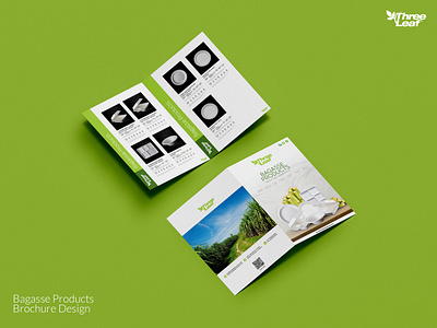 Bagasse Products Brochure Design brand brochure graphic design