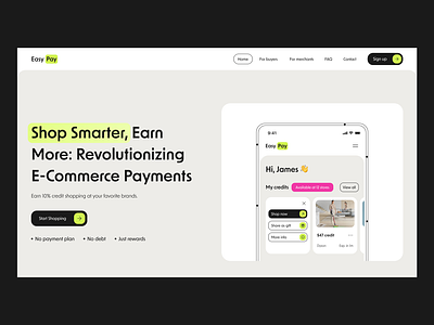 Easy Pay | Design concept design interface pay research ui uiux ux web platform website