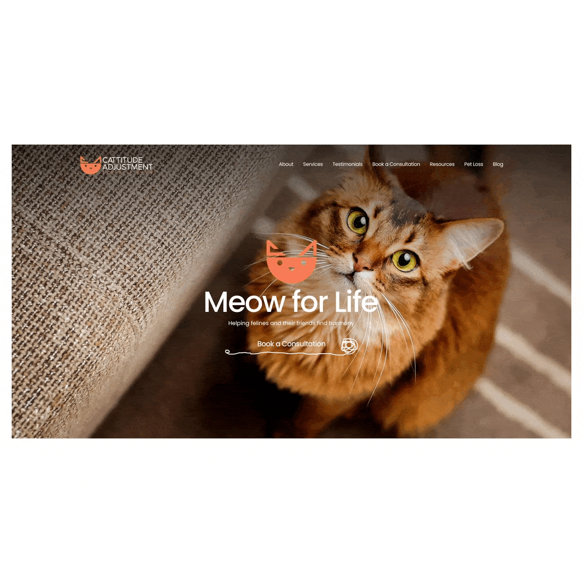 Cattitude | Cat Clinic Web Design aesthetic animal banner cat clinic doctor dog header landing page modern pet pussycat