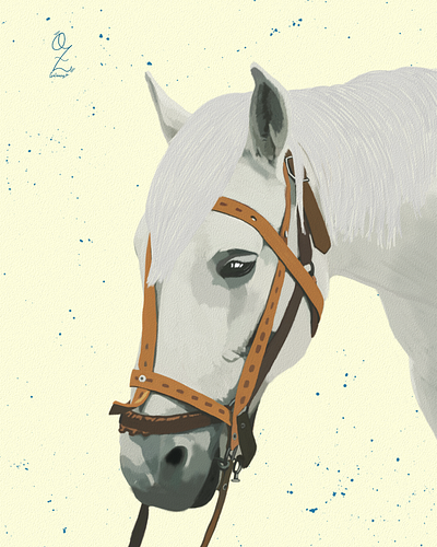 Horse Illustration by Oz Galeano animal art arte caballo color design dibujo digital art digitalart drawing horse illustration ozgaleano painting