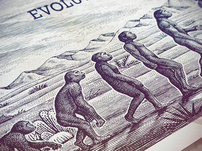 Evolution of the Code Monkey rendered by artwork branding design engraving etching illustration line art logo identity monkey scratchboard steven noble woodcut