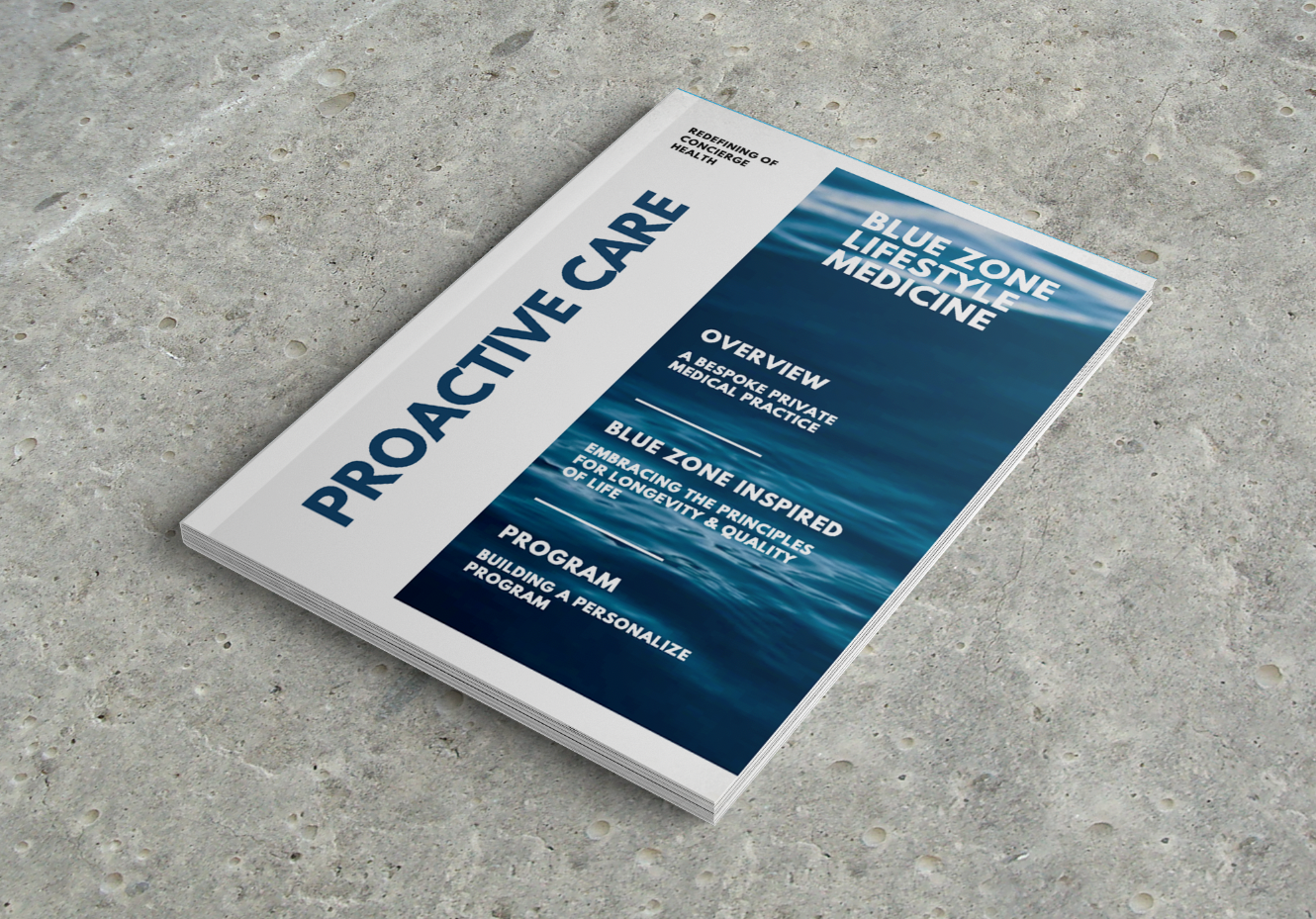 Concierge Medicine Marketing Guide art direction brand design brand development branding copywriting graphic design layout print design visual identity