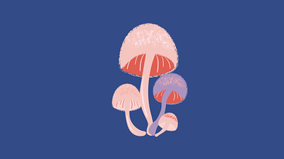 Illustration for Lucia / Mushroom branding fairytale graphic design illustration lucia mush mushroom