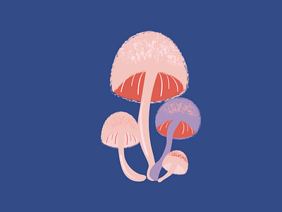 Illustration for Lucia / Mushroom branding fairytale graphic design illustration lucia mush mushroom