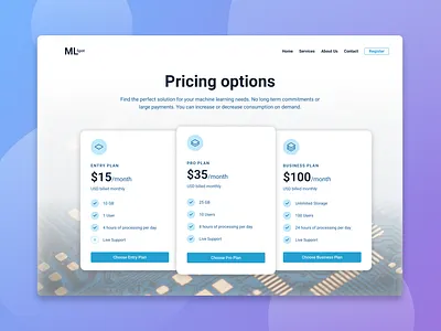 ML Spot - Pricing Options layout ml mlspot options pricing pricing options spot tier tiered pricing ui ux website