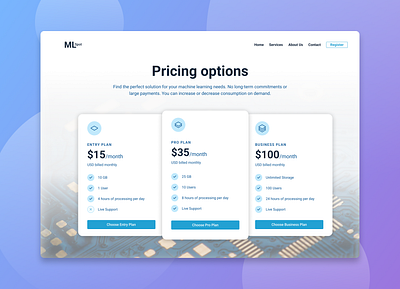 ML Spot - Pricing Options layout ml mlspot options pricing pricing options spot tier tiered pricing ui ux website