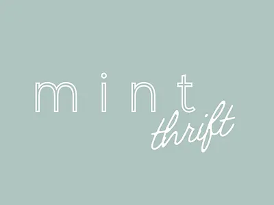 Mint Thrift Proposal Presentation backgrounds branding design graphic design presentation