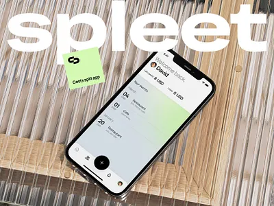 SPLEET financial app for splitting bills and expenses financial ios app ios app mobile app ui share expences split bills splitting bills