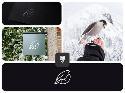 Bird Logo Design app birdlogo brand designer branding design flat graphic design icon illustration logo logo branding ui vector