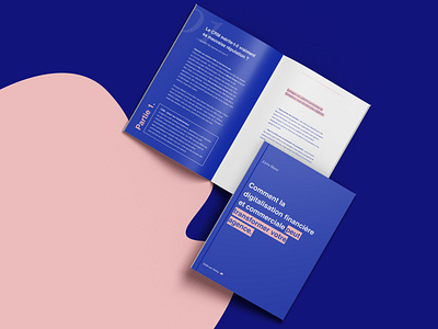 Ebook - Mise en page & Branding branding ebook graphic design guide livre blanc prospection seo