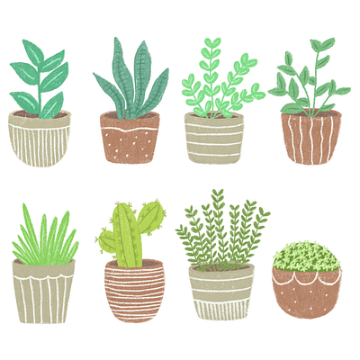 Cute Plant Illustrations artist cute plants freelance illustrator illustrations illustrator procreate art