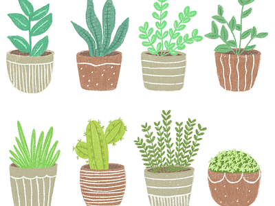 Cute Plant Illustrations artist cute plants freelance illustrator illustrations illustrator procreate art