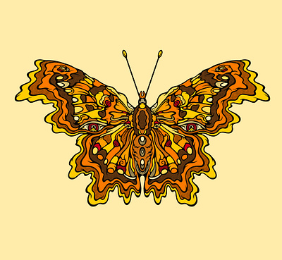 Painted Lady Butterfly Illustration butterfly colorado design illustration insect paintedlady procreate