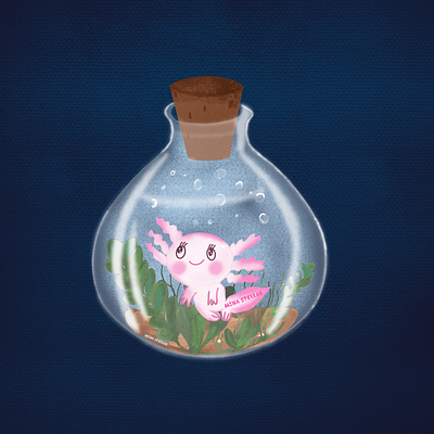 Bubblebloom the Axolotl digital artist graphic design illustration procreate