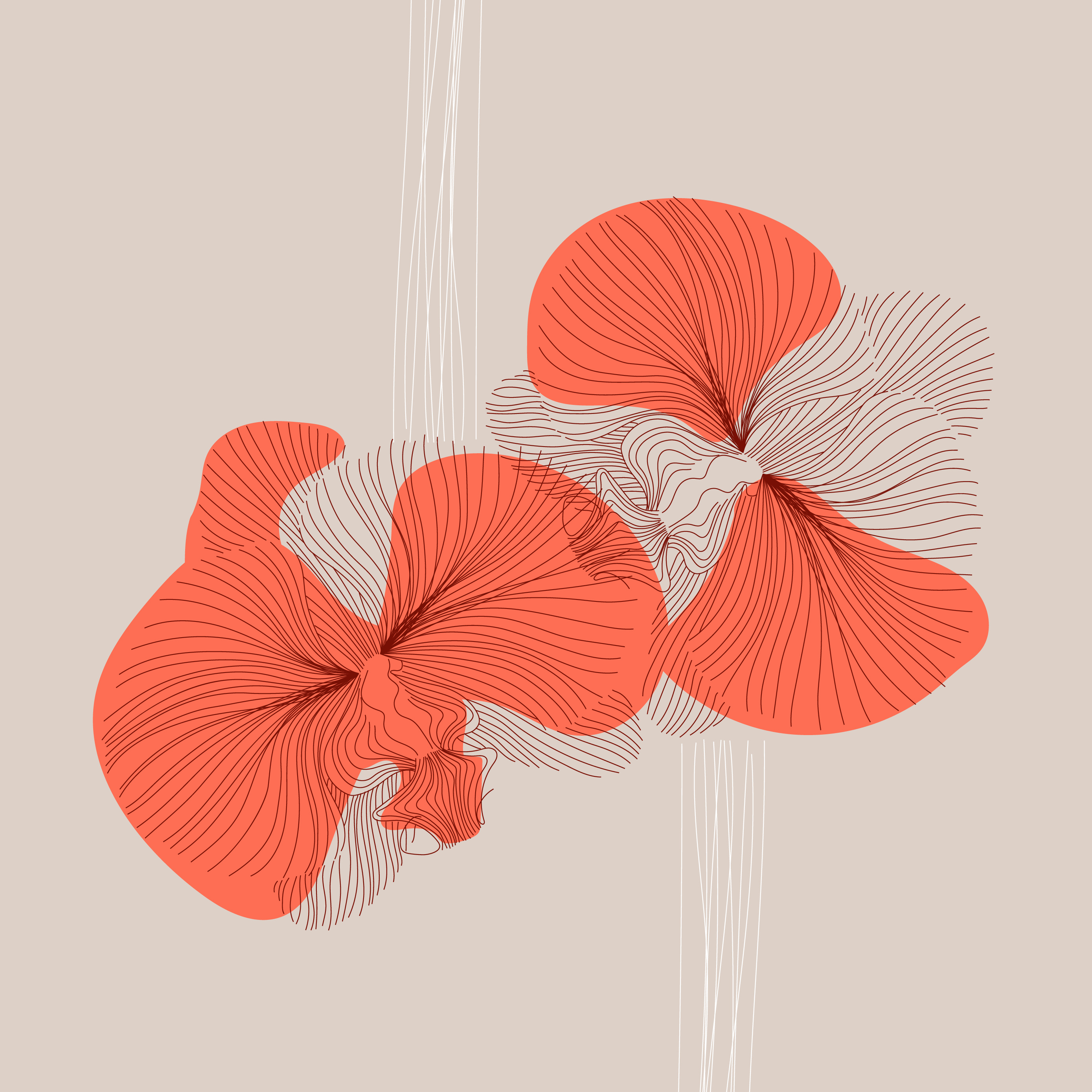 Piro - Furniture brand identity branding graphic design illus illustration logo motion graphics