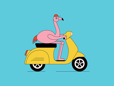 Flamingo on his Vespa animation graphic design motion graphics