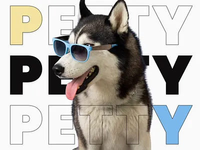 Pet finder | Web service pet finder ui user flow user research ux web service