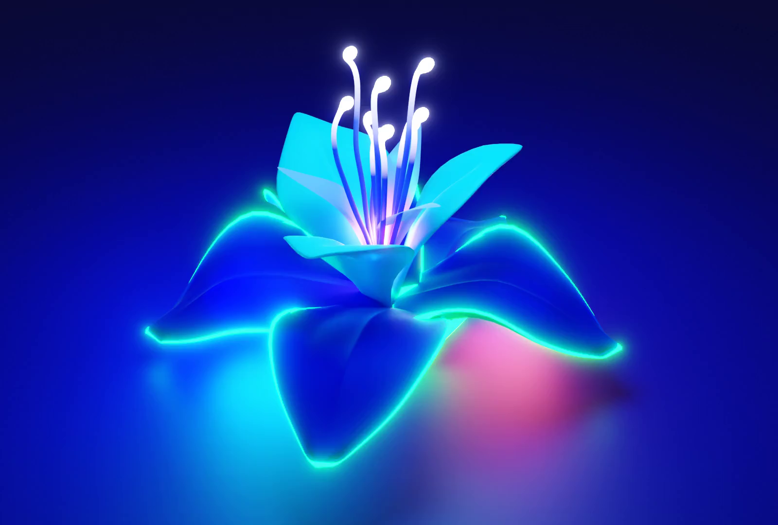 3d Blender Glowing Flower Animation Showcase by Idea Touch on Dribbble