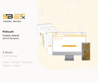 Laundry service {SB | SMART BOX} animation branding motion graphics ui ux
