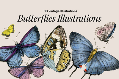 Hand-Drawn Vintage Butterflies Illustrations illustrations