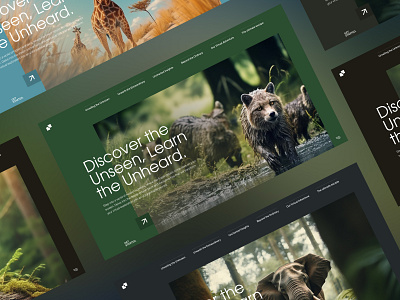 Nature Collection animation clean design homepage illustration layout modern ui ux