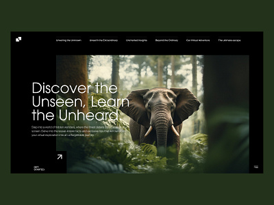 Nature Elephant clean design homepage illustration layout modern ui ux