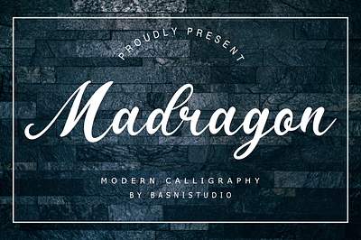 Madragon Modern Calligraphy Font brand identity branding calligraphy design font graphic design illustration modern typography
