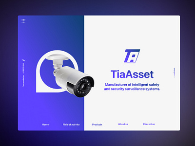 TiaAsset - a security Landing app camera design graphic design security ui ux