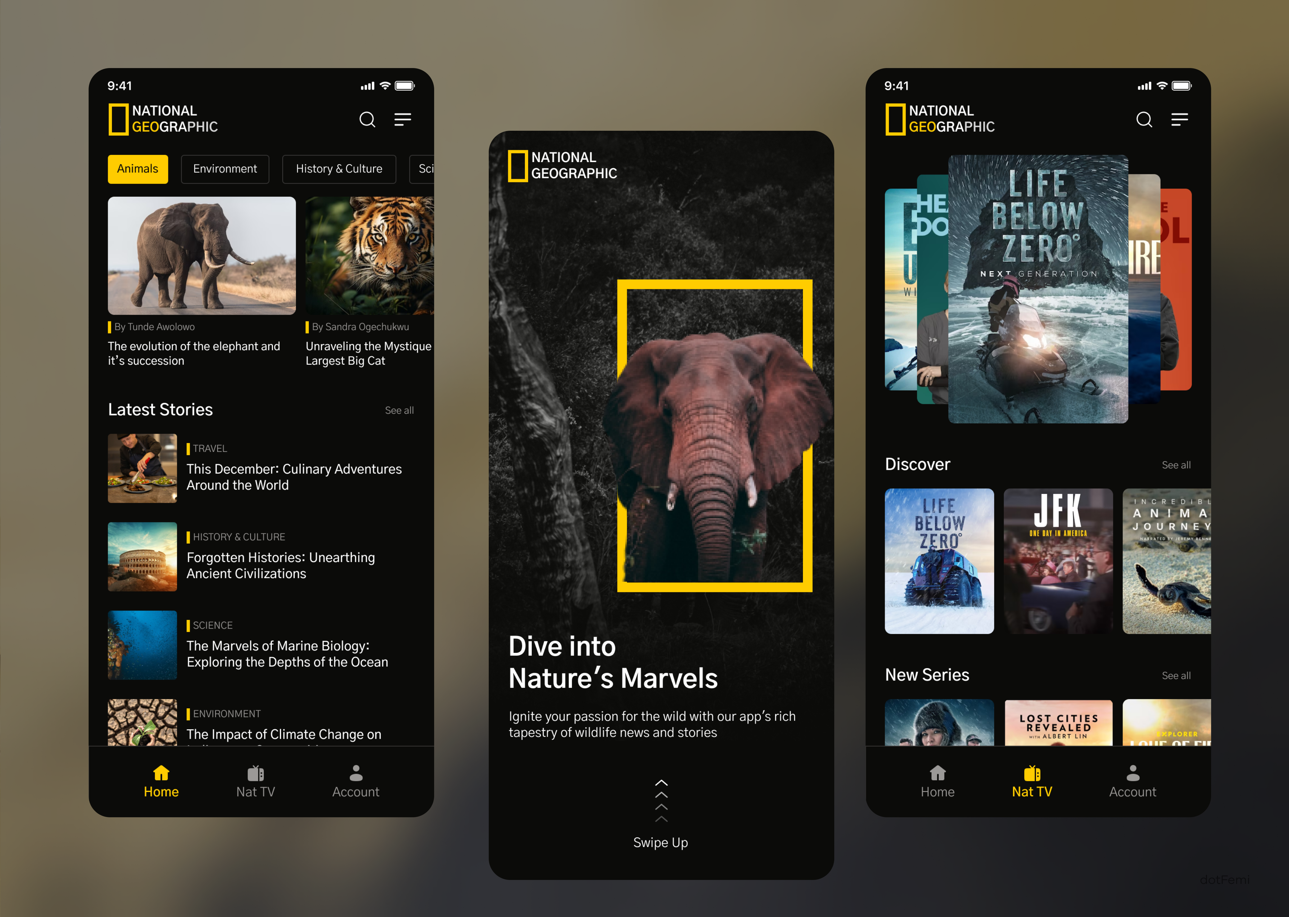 Nat Geo App UI Design Designs, Themes, Templates And Downloadable ...