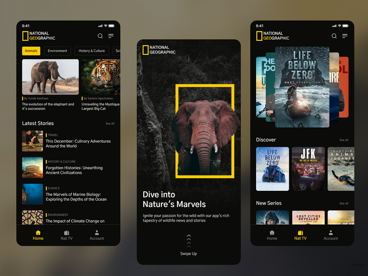 nat-geo-ui-designs-themes-templates-and-downloadable-graphic-elements