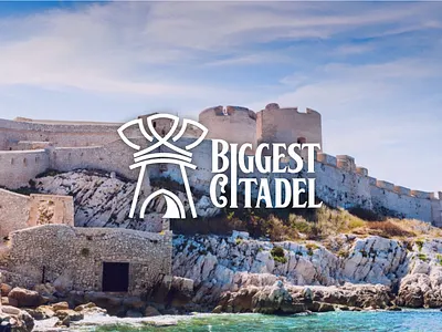 Biggest Citadel logo | Branding 3d branding des design graphic design illustration logo vector