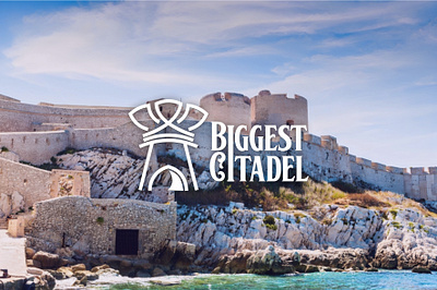 Biggest Citadel logo | Branding 3d branding des design graphic design illustration logo vector