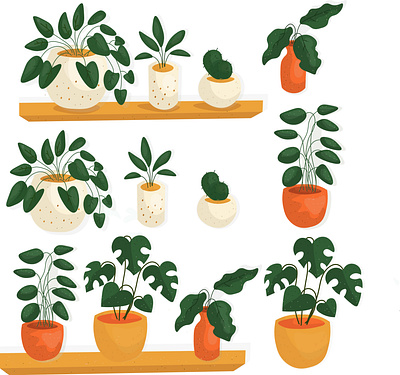 home plants colorful design home plants illustration