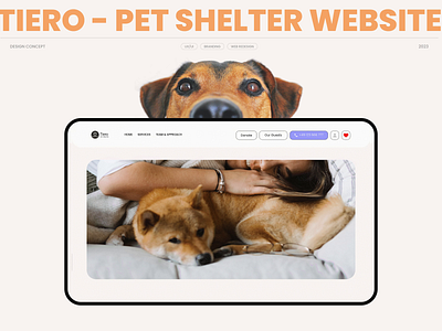 Pet shelter multipage redesign. website animation clientprojects creativeanimation interactivedesign landingpage motion graphics muultipage nonprofit pet pet adoption petshelter ui ux uxdesign web design web designer web page webdesigninspiration website websiteredesign