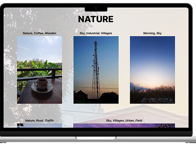 Professional Photographer Portfolio Website photograph ui