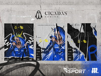 Cicadas Gaming visuals branding design esport gaming graphic design identity illustrator karmine karmine corp kcorp mockup photoshop poster riot sport team valorant vector