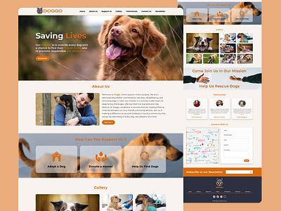 Doggo - A Dog Shelter branding design dog dog shelter ui ux