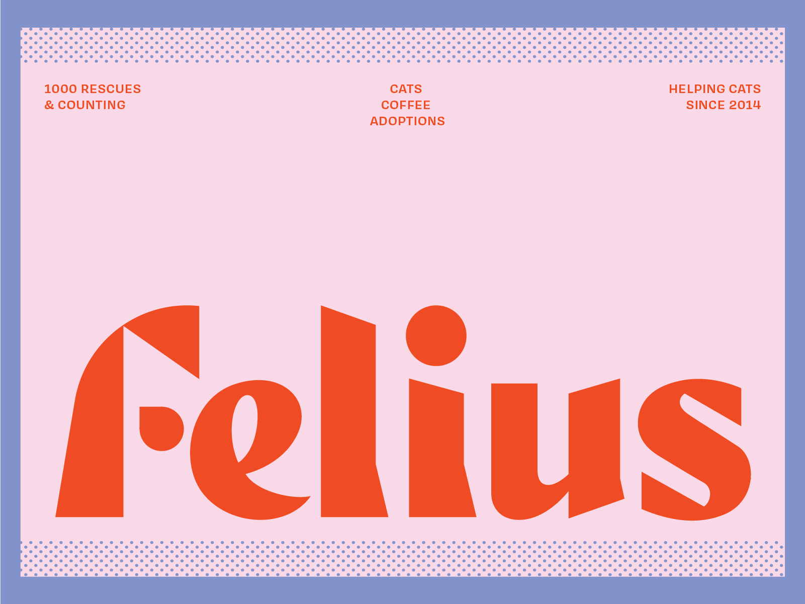 😺 Felius Cat Cafe & Rescue branding cat geometric lettering logo logotype minimal monogram