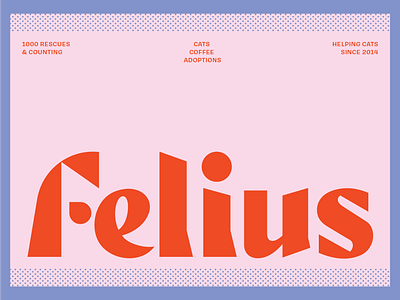 😺 Felius Cat Cafe & Rescue branding cat geometric lettering logo logotype minimal monogram