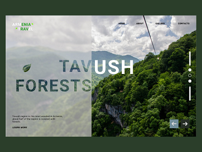 First screen of the landing page for the Tavush forests website design ui ux