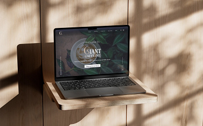 Giant Caffeine branding e commerce landing page logo design ui design webdesign