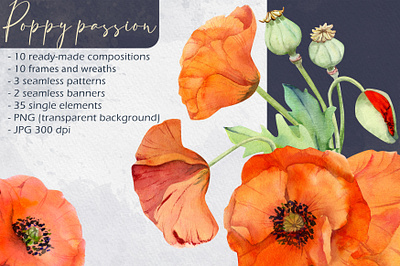 Poppy passion nature