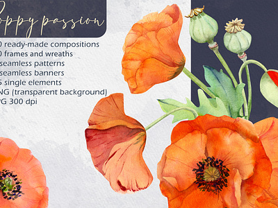 Poppy passion nature