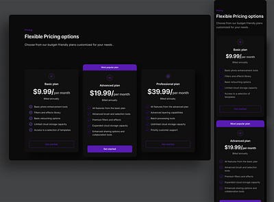 Pricing Plan