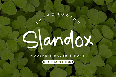 Slandox typeface branding fonts logo typography