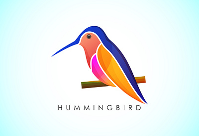 Modern colorful Hummingbird graphic